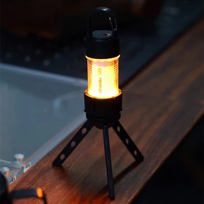 Lagring chiroqlarining dasturiy maydonlari